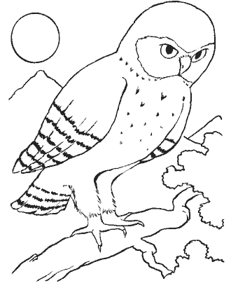 bird coloring page