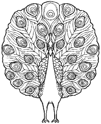 bird coloring page