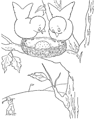 bird coloring page