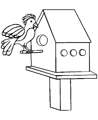 bird coloring page