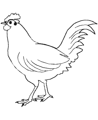 bird coloring page