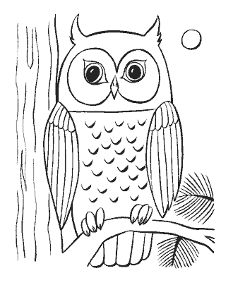 bird coloring page