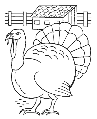 bird coloring page