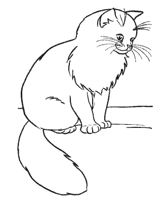 cat coloring page