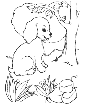 dog coloring page