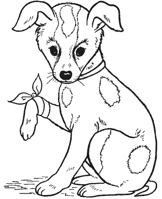 dog coloring page