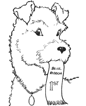 dog coloring pages