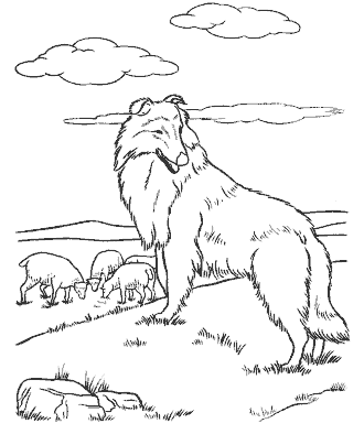 dog coloring page