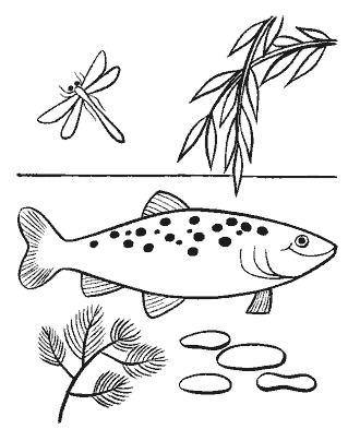 fish coloring page