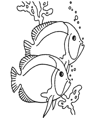 fish coloring page
