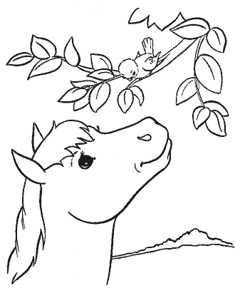 horse coloring page