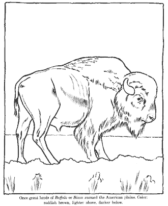 zoo coloring page