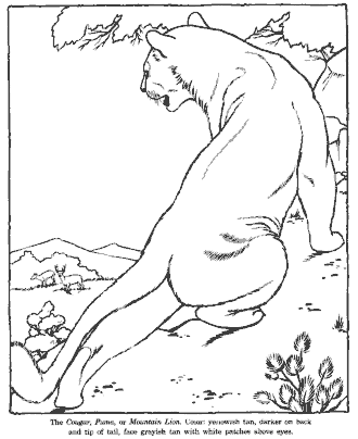 zoo coloring page