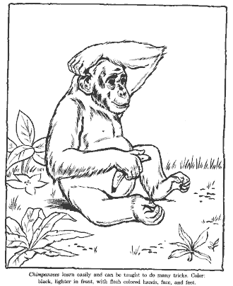 zoo coloring page