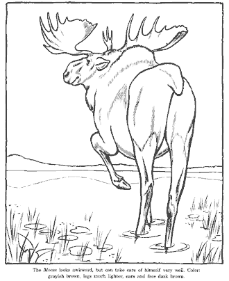 zoo coloring page