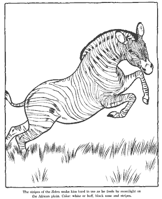 zoo coloring page