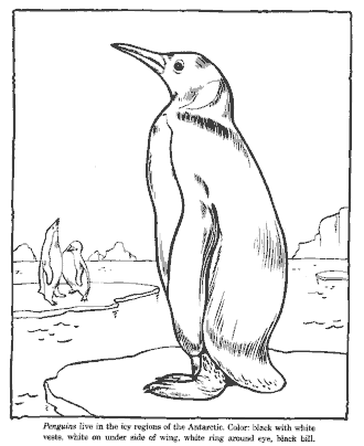 zoo coloring page