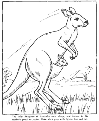 zoo coloring page
