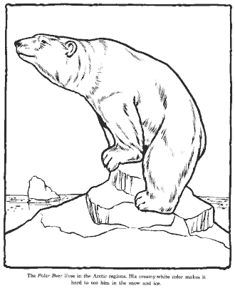 zoo coloring page
