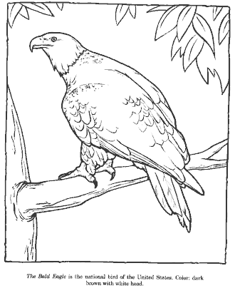 zoo coloring page