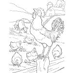 farm animal coloring pages