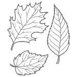 nature coloring pages for kids