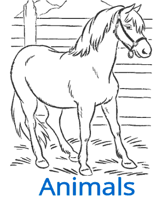 animal coloring pages