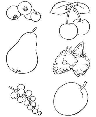 fruits coloring page