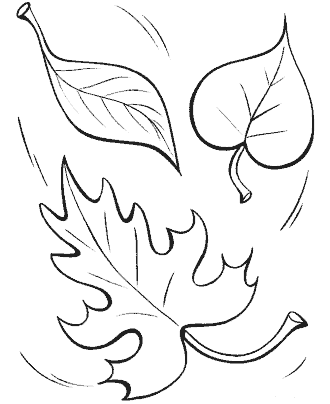 leafs coloring page